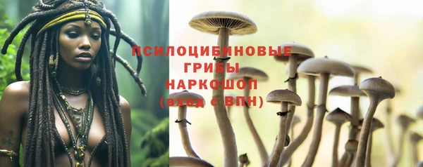 герыч Зеленокумск