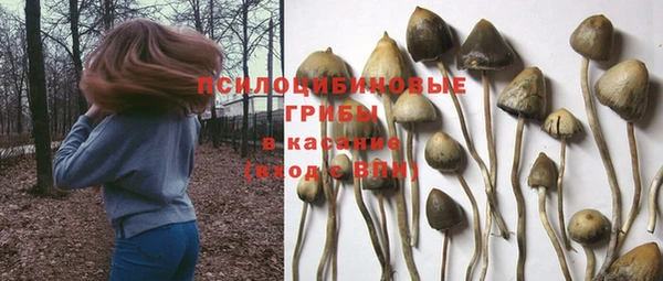 герыч Зеленокумск