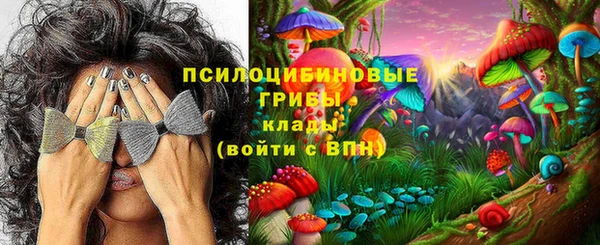 герыч Зеленокумск
