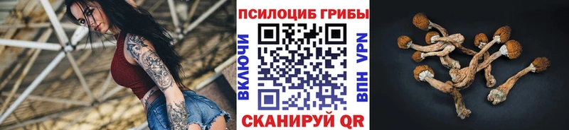Псилоцибиновые грибы Magic Shrooms  Купить закладки  Долинск 
